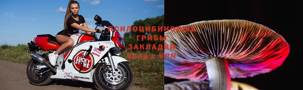 прущие крисы Ладушкин