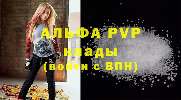 стаф Кулебаки