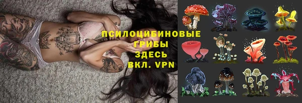 МДПВ Лагань